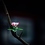 twig